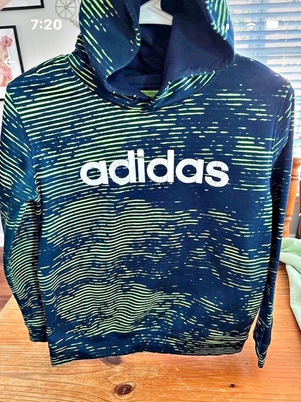 adidas Printed Pullover Hoodie in Blue & Green